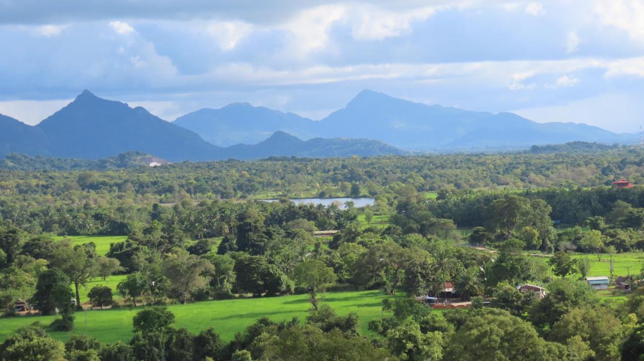 Into The Wild Sigiriya Hotel Luaran gambar